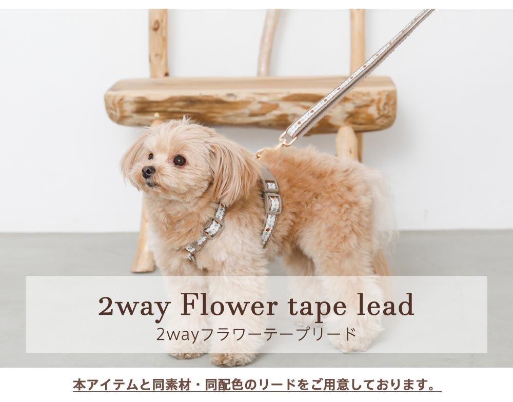 Small dog/harness/lead/walk/go out/fashion/cute/coordination item/2way flower tape lead