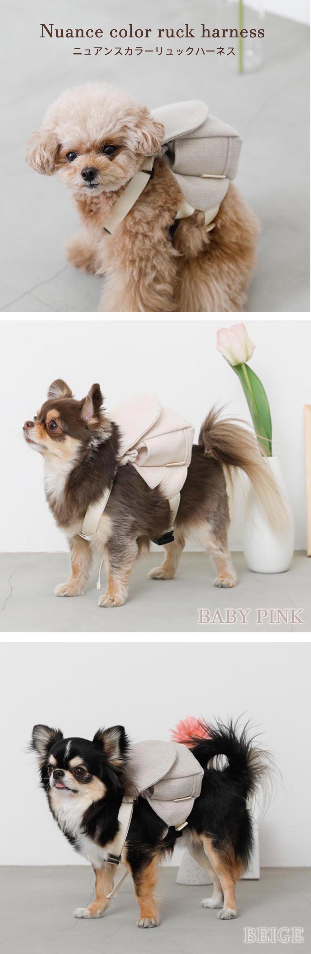 Small dog/backpack harness/harness/backpack/Cute/main image