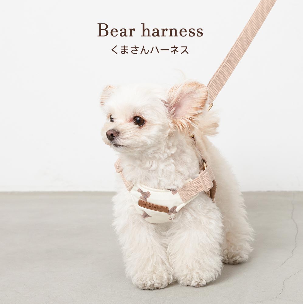 Small dog/backpack harness/harness/backpack/Cute/bear/bear pattern/main