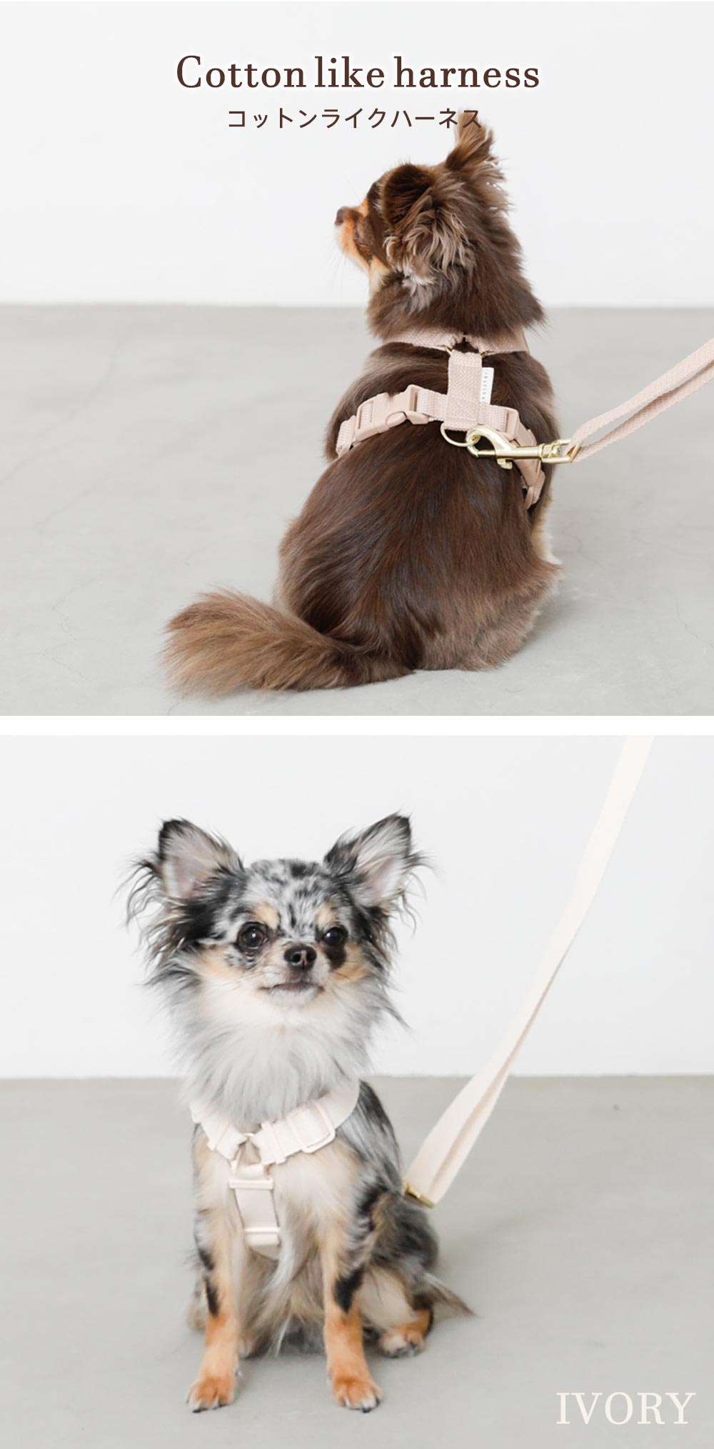 Small dog/harness/lead/walk/go/fashion/cute/thumbnail