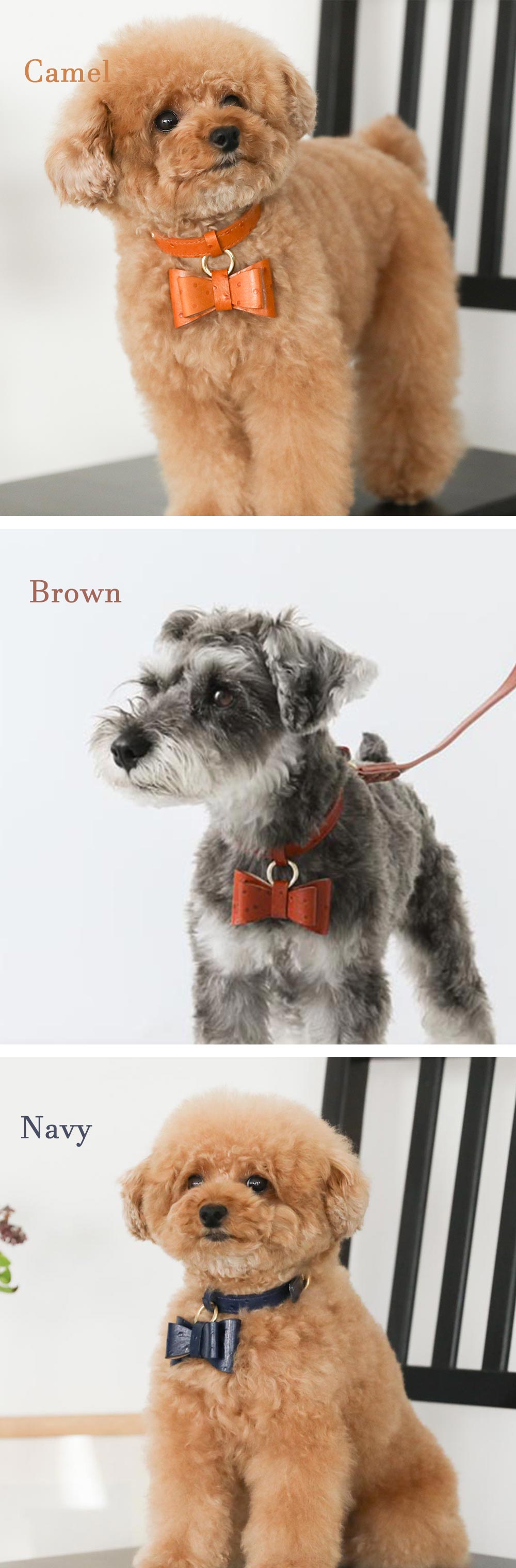 Collar for small dogs/oste leather ribbon pendant color