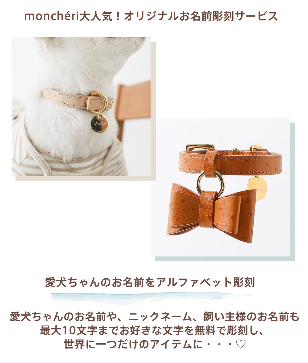 Collar for small dogs/oste leather ribbon pendant color