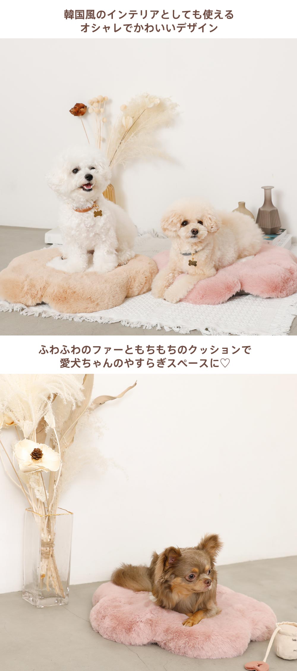 Small dog/bed/mat/cushion/flower/fur/recommended point