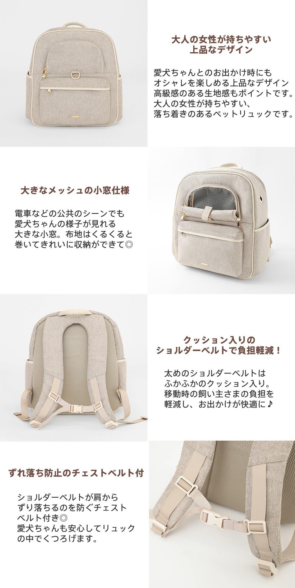 Small dog/bag/backpack/carry back/point 2