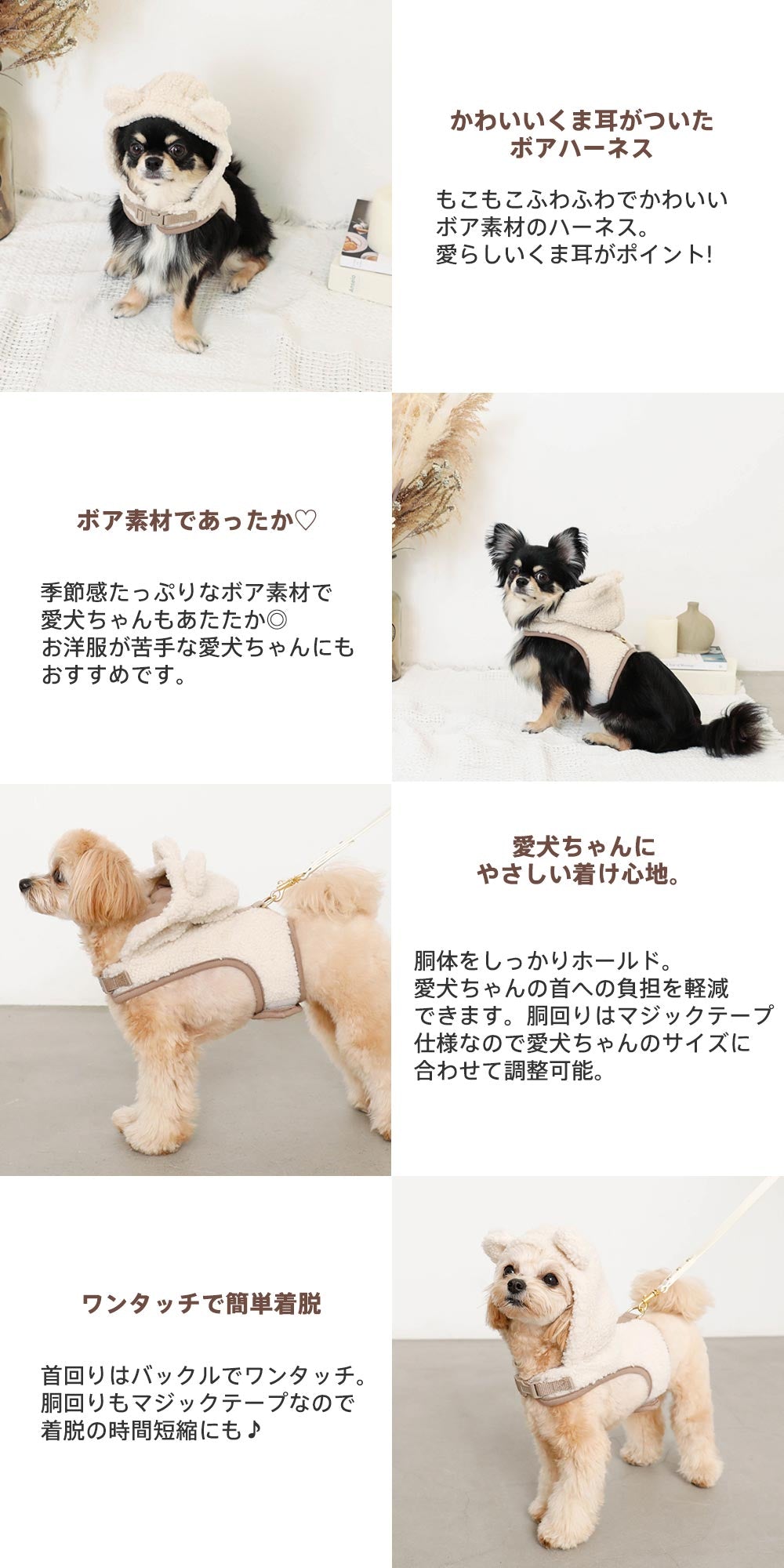 Small dog/harness/bore/bear ear/cute/recommended point