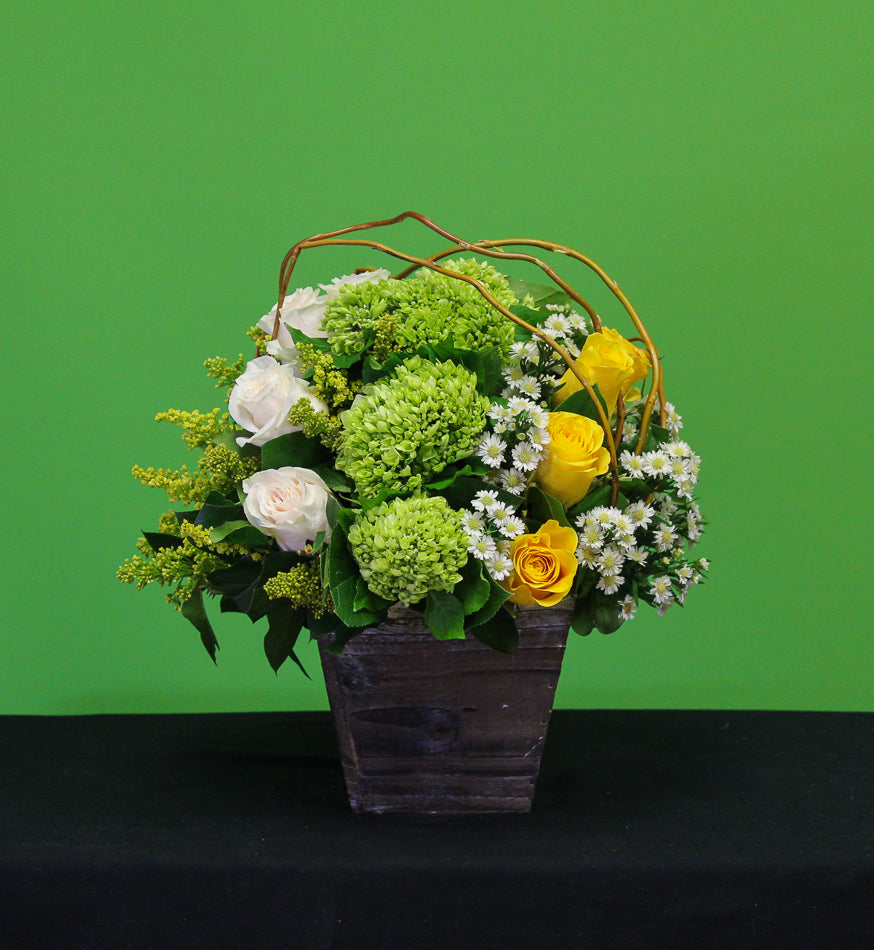 GT-5 Arreglo de rosas blancas y amarillas, hortensias verdes, montecas –  Bella Flor Inc