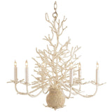 White Coral Chandelier
