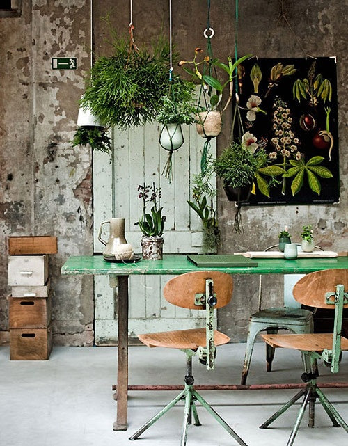 earthy, natural office 