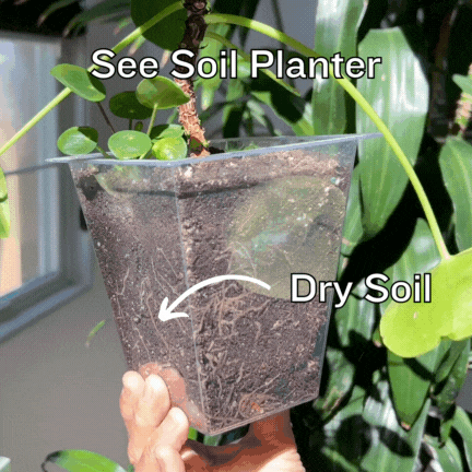 See Soil (1080 x 1080 px).gif__PID:fee2b3d1-0ce6-4012-b367-600685d80b1b