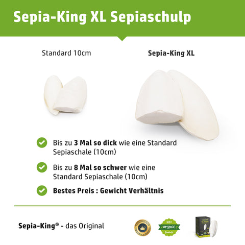 Vergleich zwischen einer normalen 10cm Sepiaschale und einer XL Premium Sepiaschale von Sepia King.