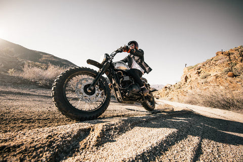 rider in the desert