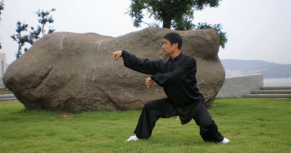 Kung-fu-style-mante-religieuse