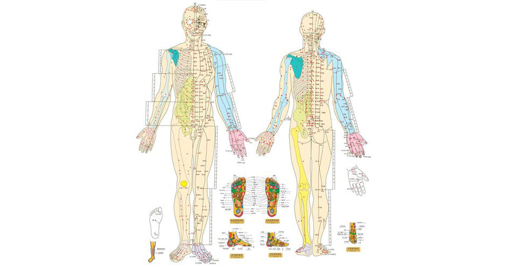 Méridien-et-point-d'accuponcture-médecine-chinoise