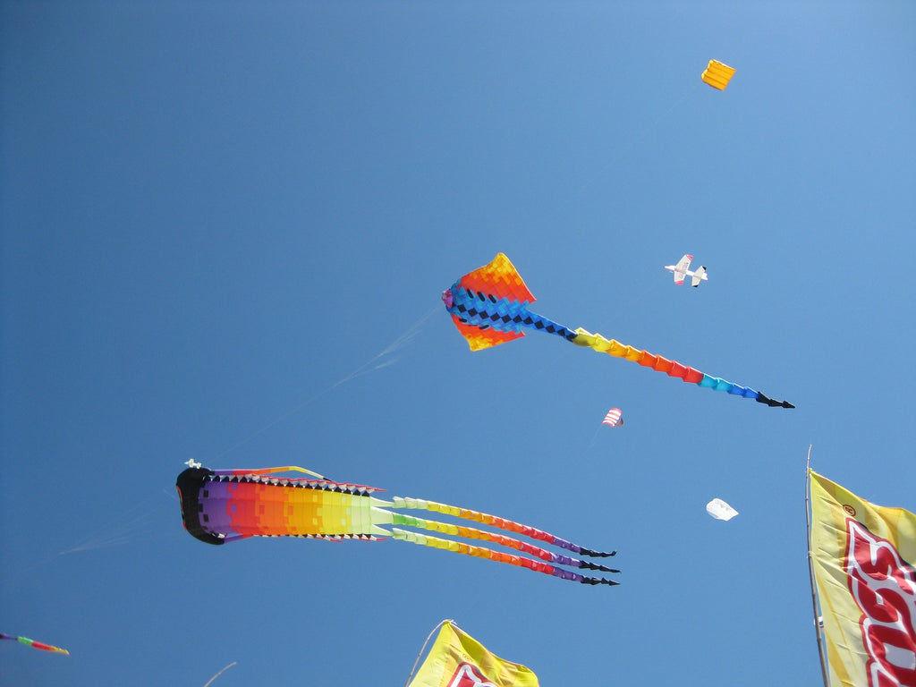 cerf volant chinois dans le ciel