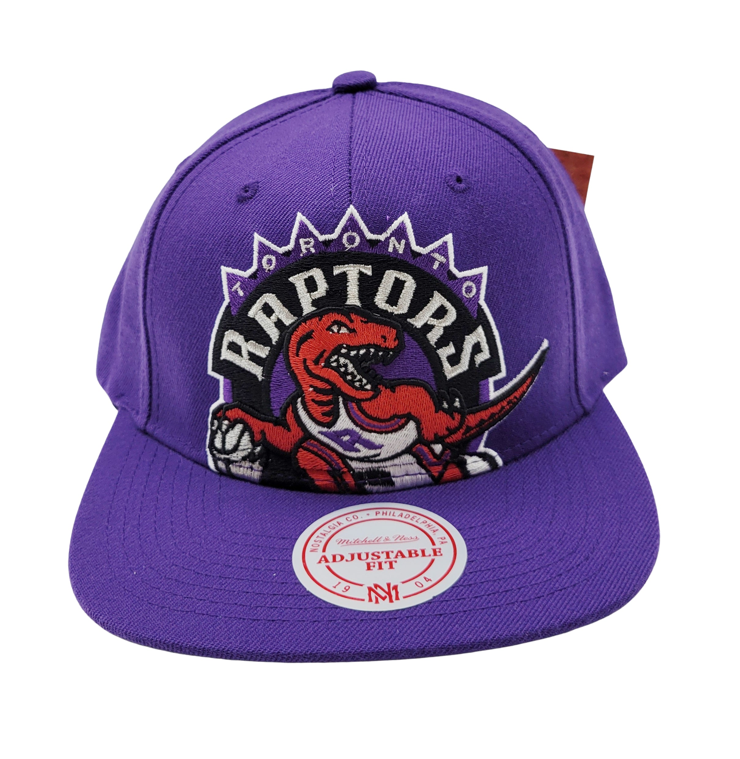 retro raptors snapback