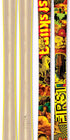 The Allplay "FIRST" Limited Edition Ski Graphic Image