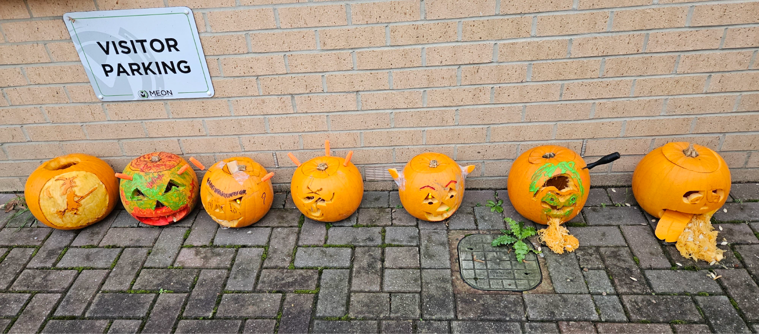 Halloween Week Meon Pumpkins