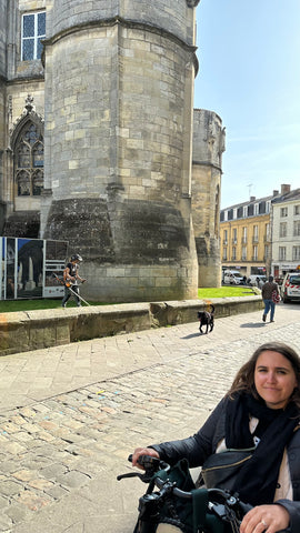 Tour Maubergeon de Poitiers.