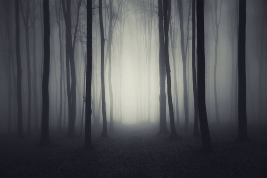 Magic Mystery Night Foggy Forest Halloween Backdrop SH-1075 – Dbackdrop