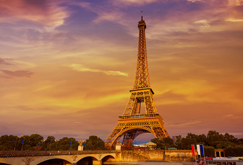 Paris Eiffel Tower Sunset View Backdrop for Photo Studio D126 – Dbackdrop