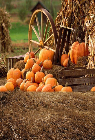 Fall backdrops for photography - tablemom