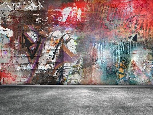 Graffiti Brick Wall Backdrop for Photography LV-722 – Dbackdrop
