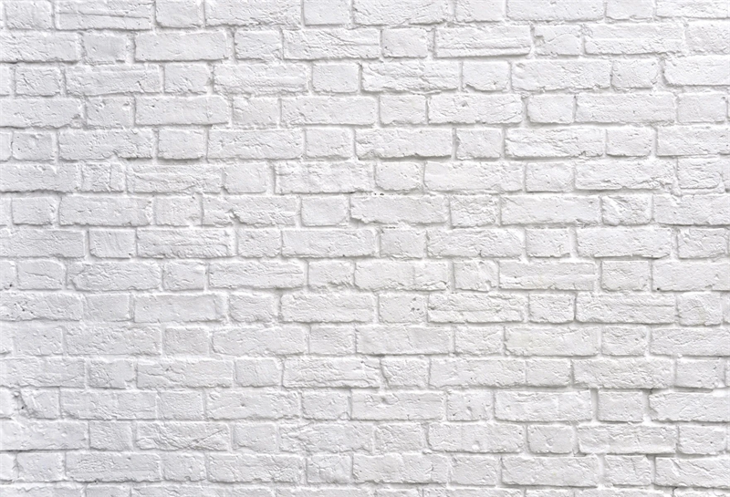 White Brick Wall Photography Studio Backdrop G 56 Dbackdrop