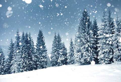 Winter Snow Backdrops for Photography-Dbackdrop