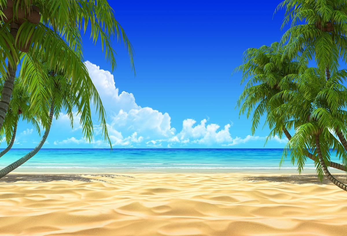 Summer Beach Blue Ocean Sky Backdrop Hj03738 Dbackdrop 5785