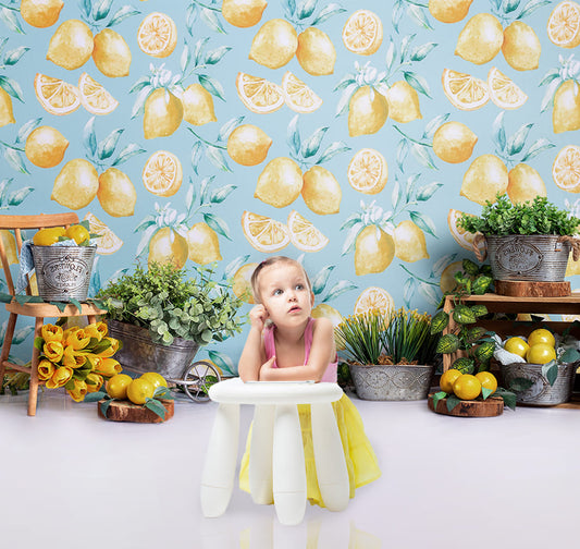 Melon Pastel Solid Photography Backdrop – Bubb Market