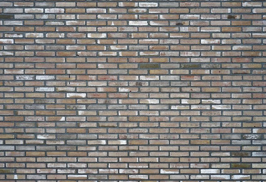 Photo Backdrop Graffiti Old Brick Wall LV-280