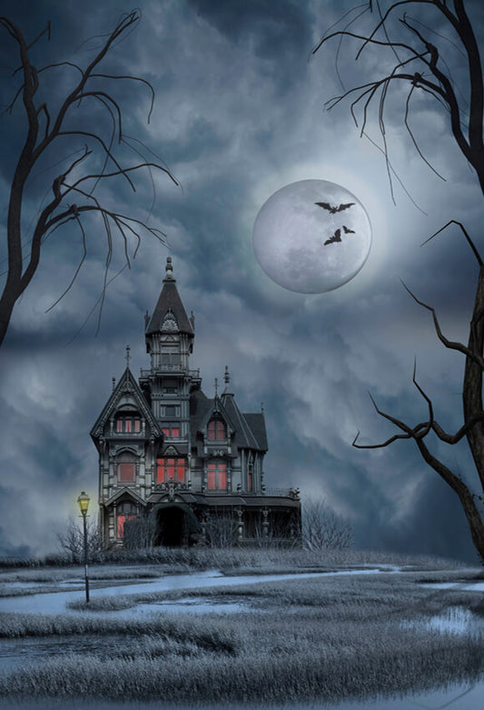 Ghost Castle Halloween Night Sky Backdrop for Photography SH-1070 –  Dbackdrop