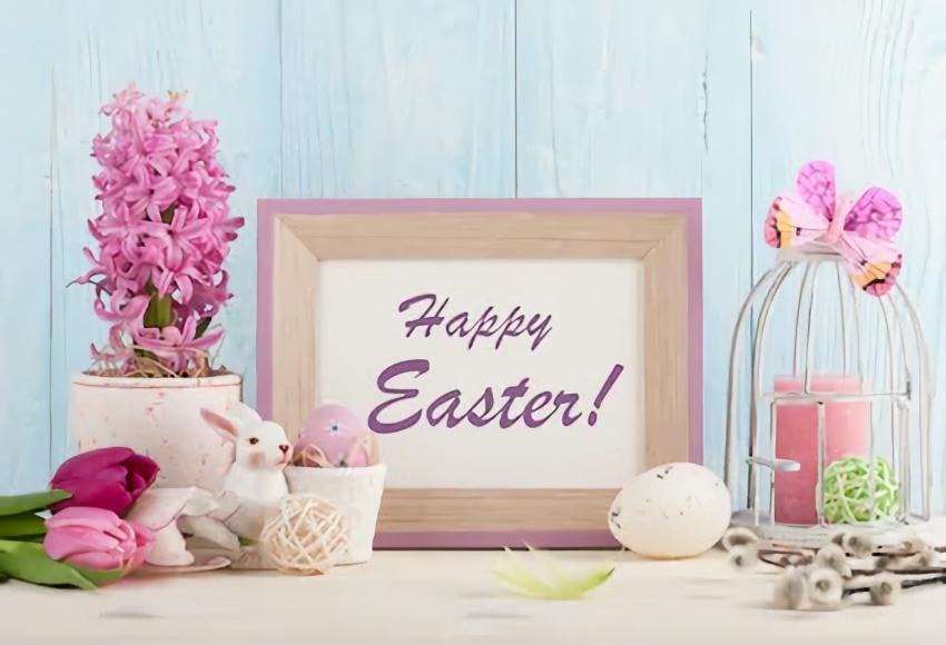 Easter Spring Flowers Backdrop for Photography SH201 – Dbackdrop