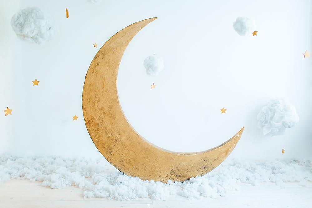 Moon Cloud Baby Shower Backdrops for Children Photography DBD-19287 –  Dbackdrop