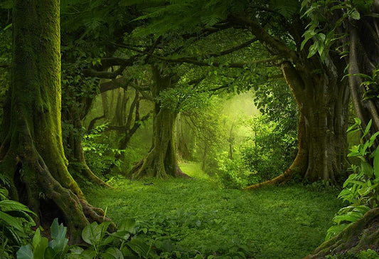 Secret Forest Big Tree Green Backdrop for Photo Studio LV-837