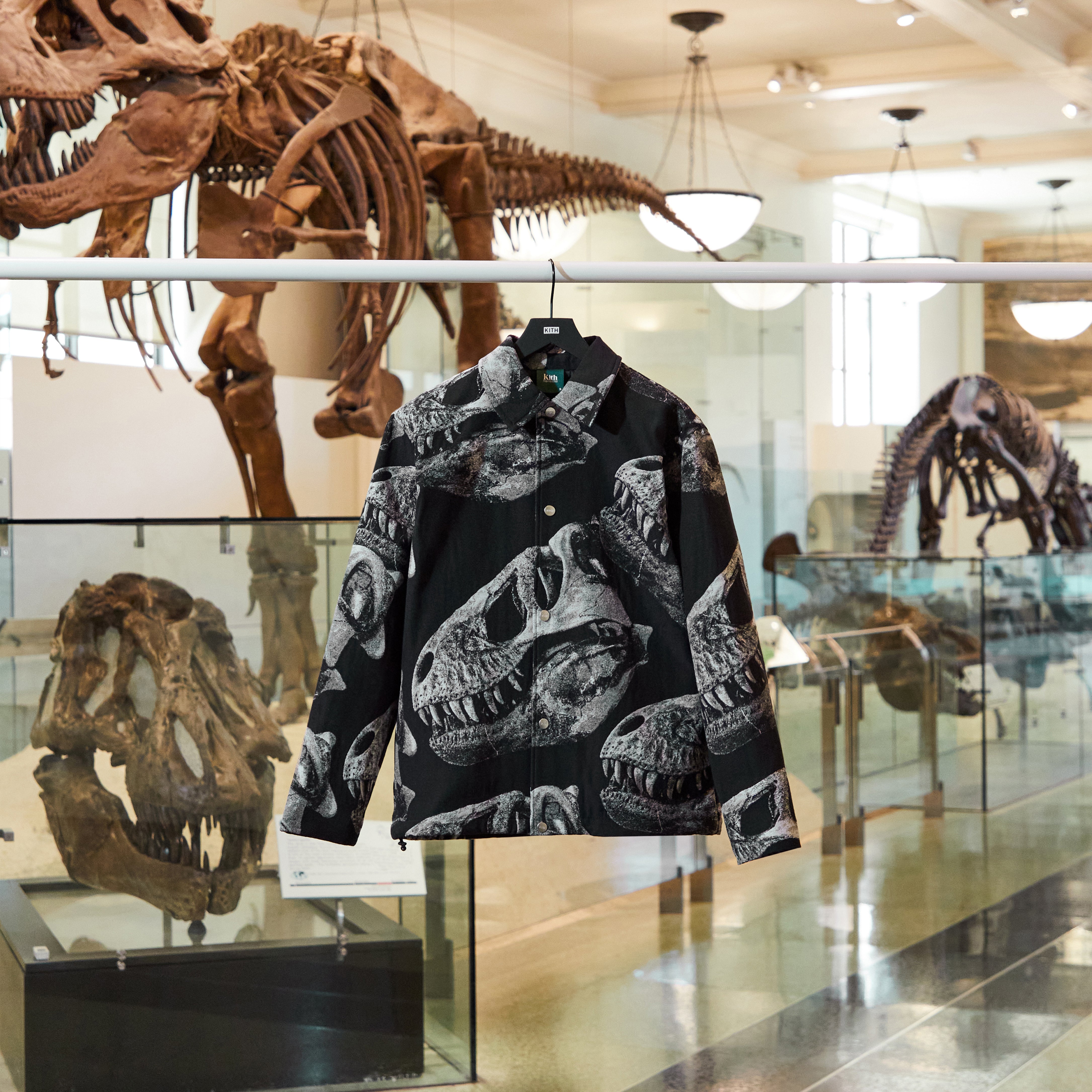 Kith for the American Museum of Natural History – Kith Europe