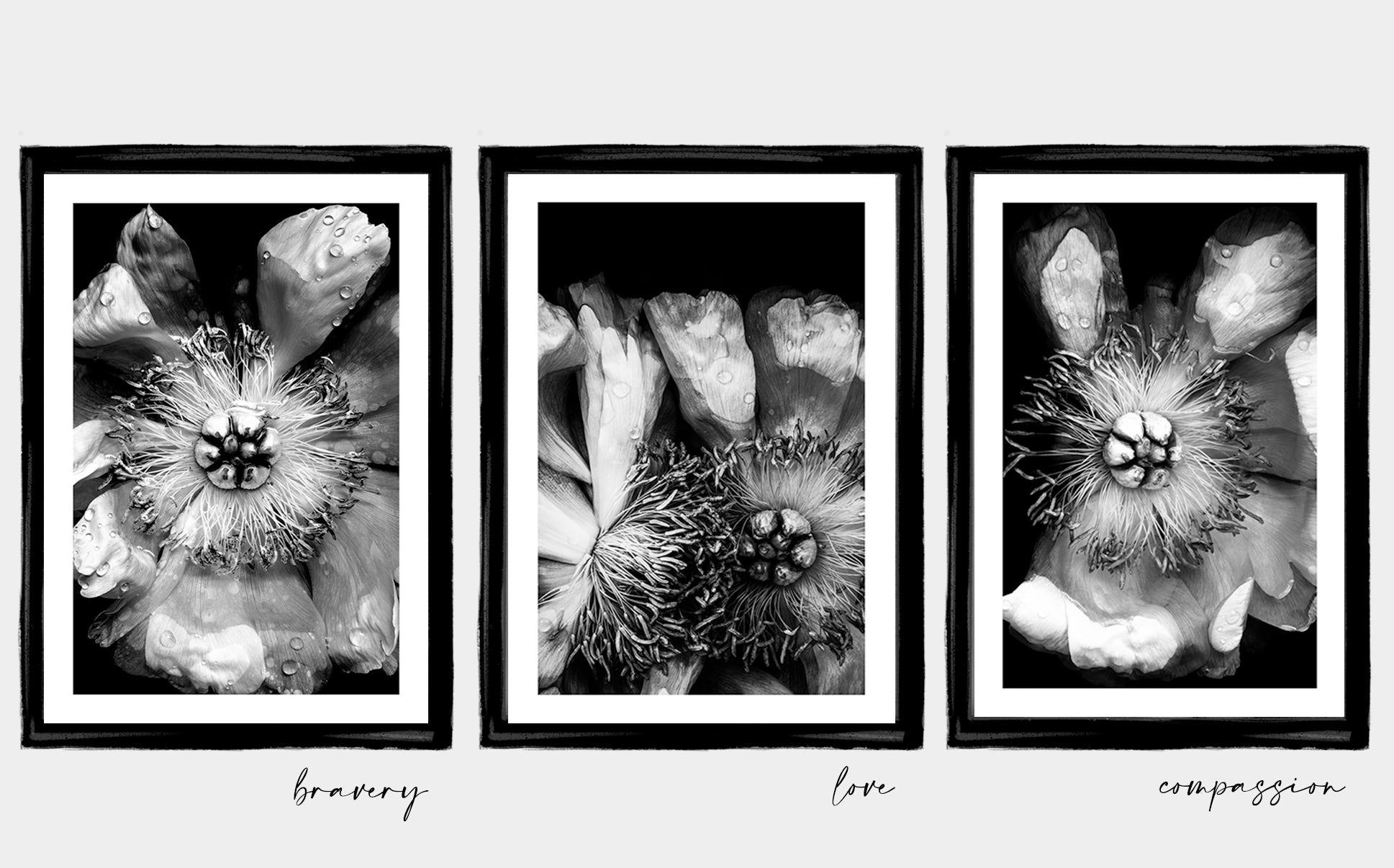 Limited edition fine art flower photography prints