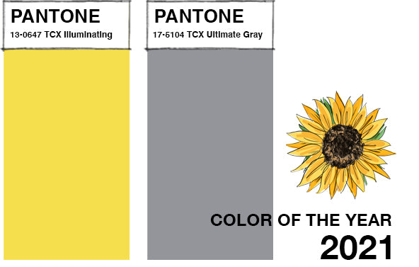 pantone yellow pantone grey and sunflower