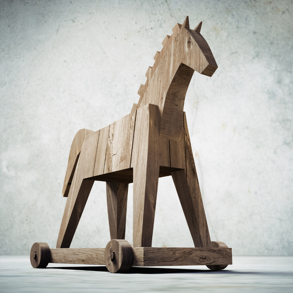 Trojan Horse effect of microplastics
