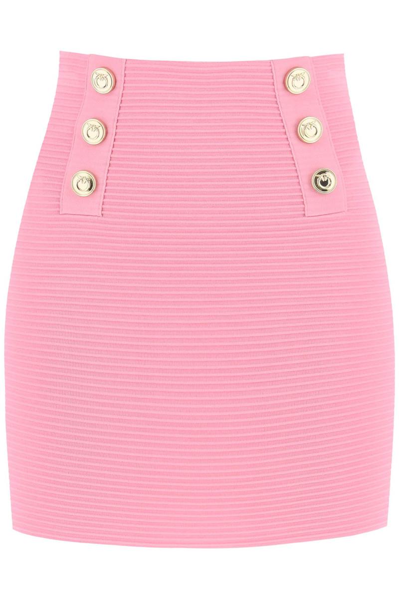 Shop Pinko Cipresso Mini Skirt With Love Birds Buttons In Rosa