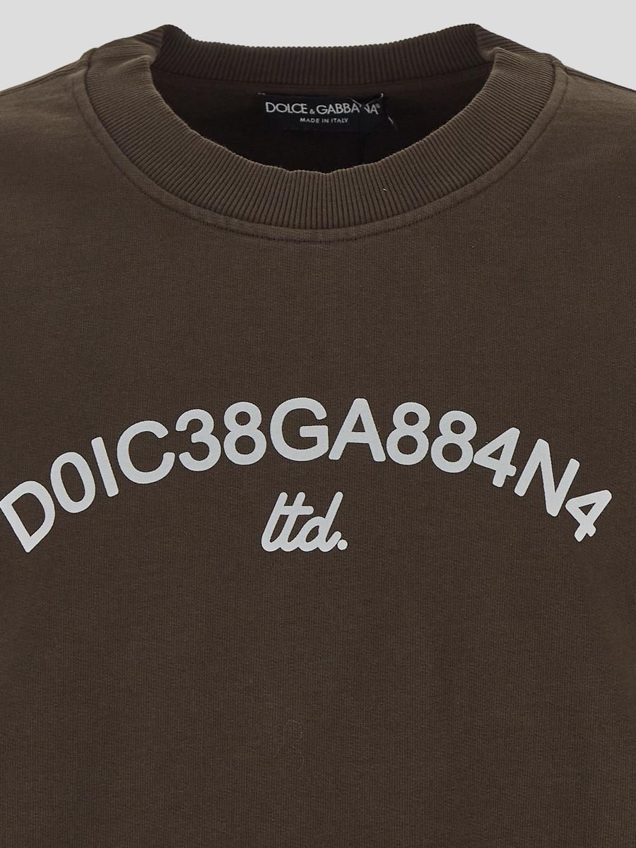 Shop Dolce & Gabbana Sweatshirts In Brown
