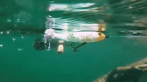 FishingPro