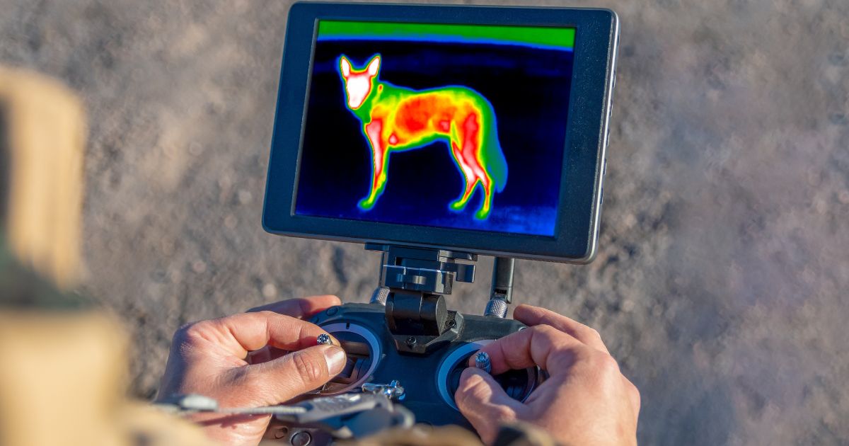 termisk drone viser hundens kropsvarme