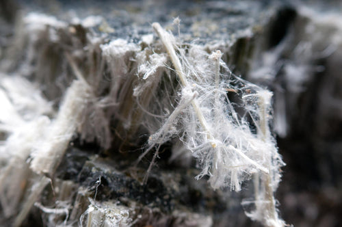 asbestos-chrysotile-fibers.jpg__PID:b9008f79-1812-4375-900d-30634075cd36