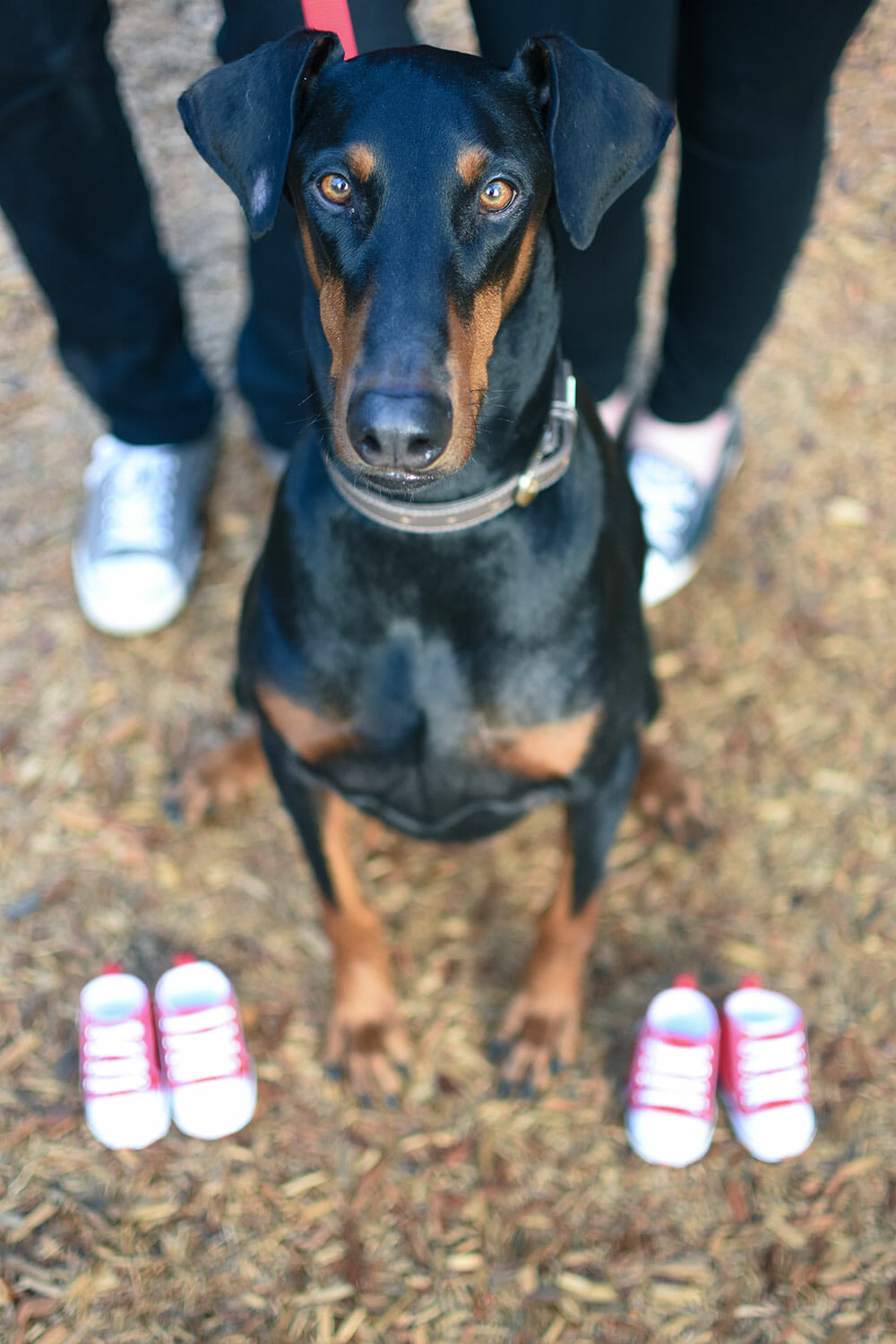 Twins Pregnancy Announcement Photo