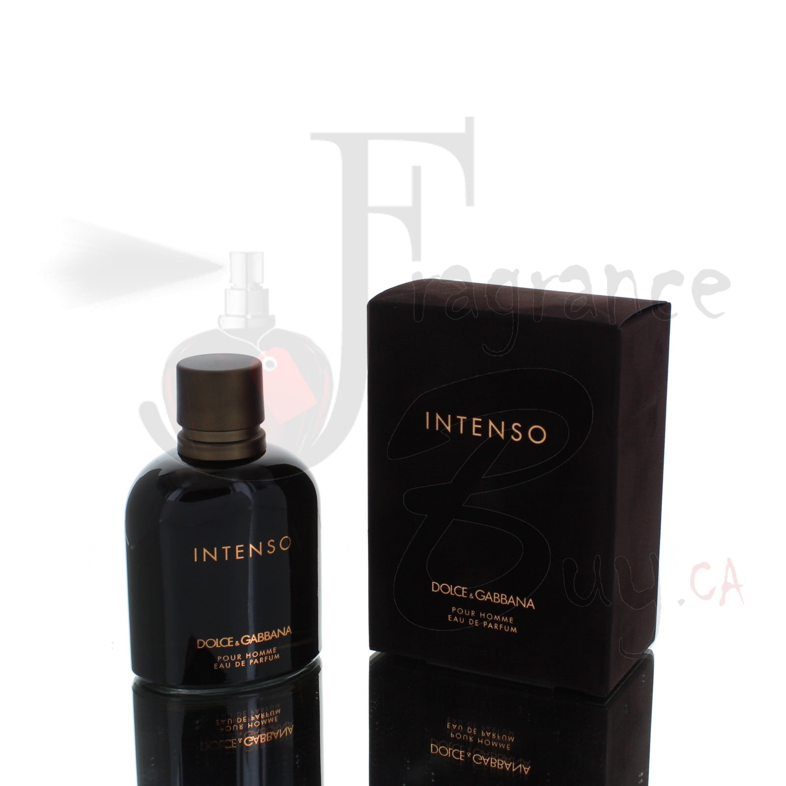 dolce and gabbana intenso 75ml