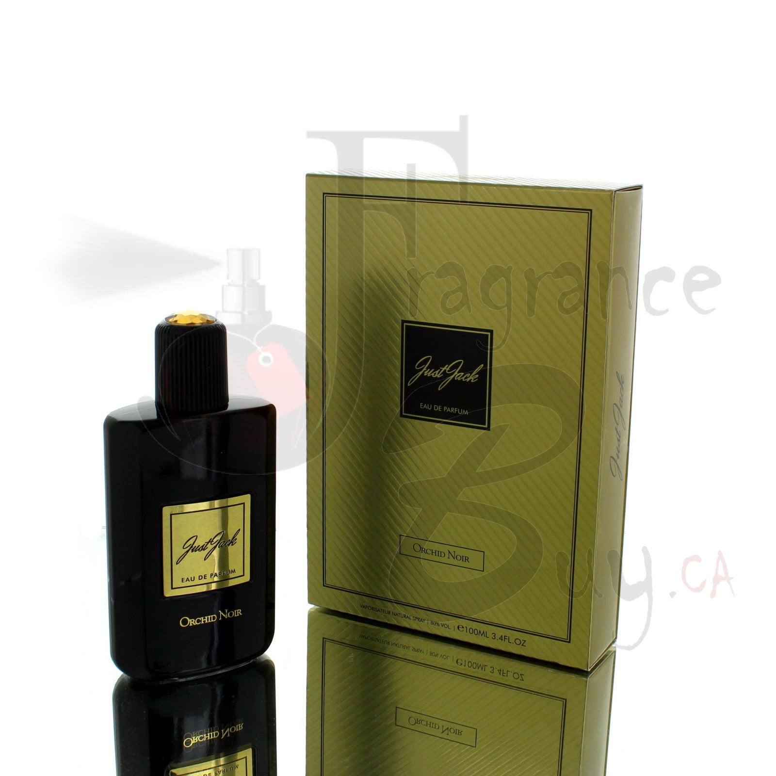 Fragrancebuy.ca — Sterling Just Jack Orchid Noir Women Cologne