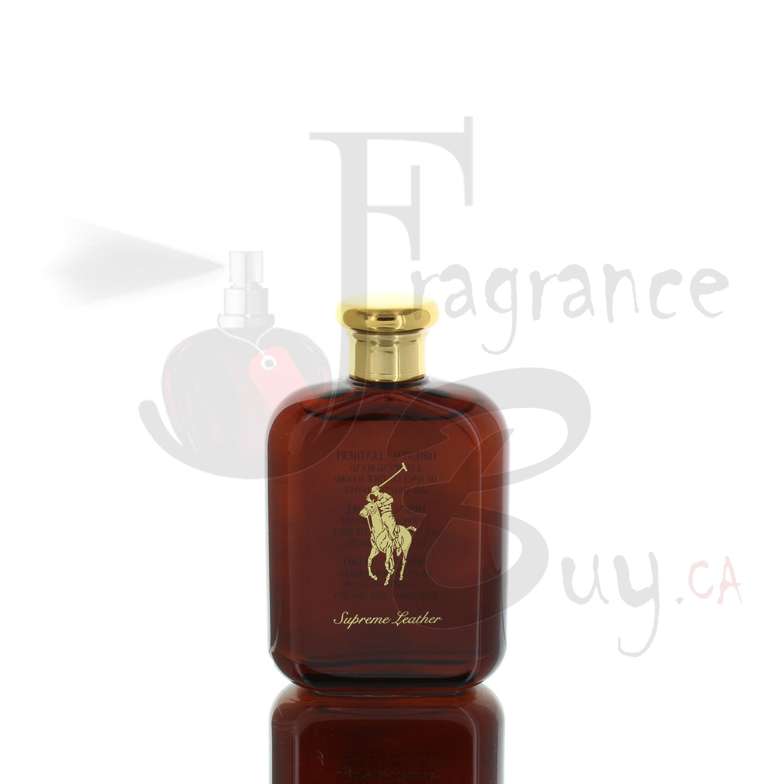 polo leather perfume