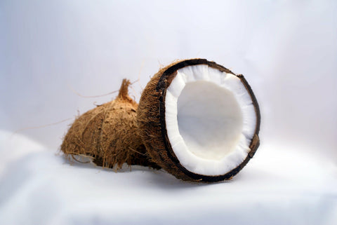 Coconut flour substitute for white flour