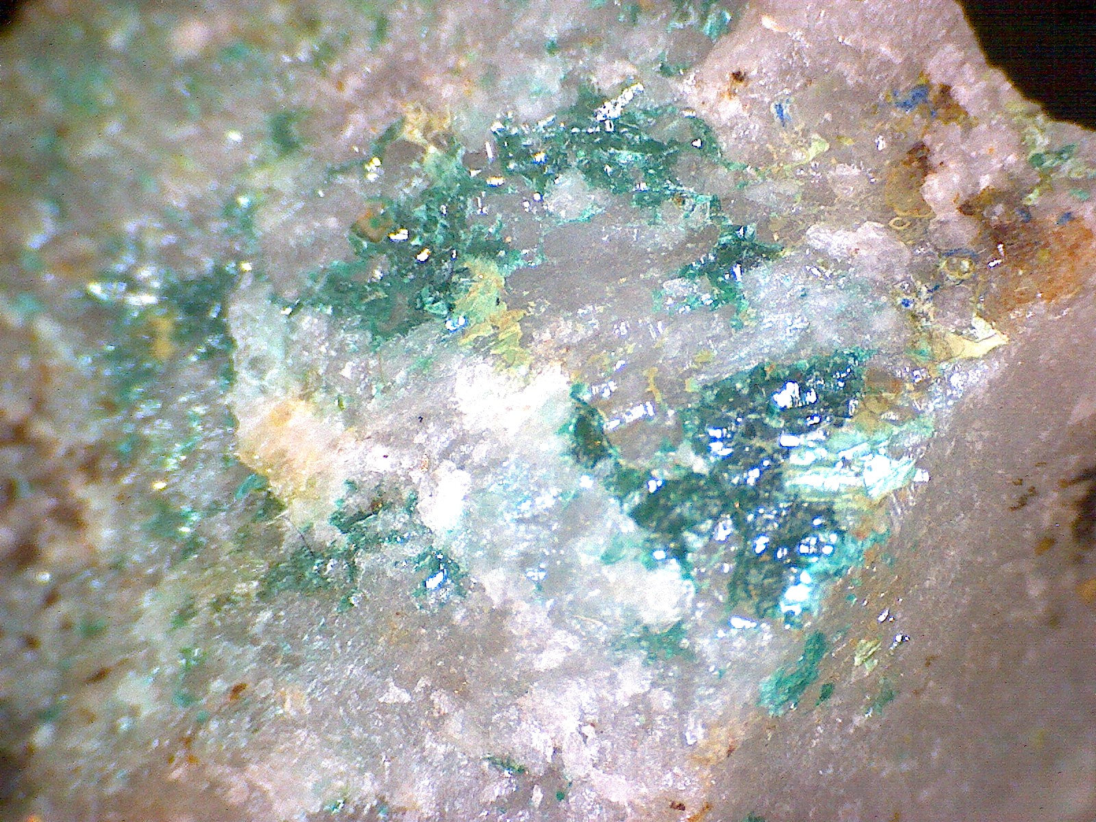 Tyrolite with Connellite